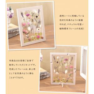 植物標本フレーム 手作りキット (ドライフラワ...の詳細画像2
