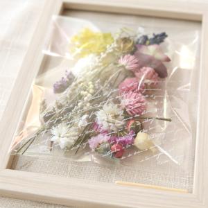 植物標本フレーム 手作りキット (ドライフラワ...の詳細画像4