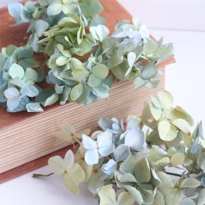 ドライフラワー 紫陽花 小さなヘッド 約2g【A6 はがきサイズ箱】 秋色紫陽花 あじさい アジサイ グリーン ブルー ベージュ パープル 花材 緑 青 送料無料