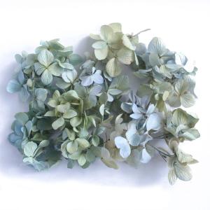 ドライフラワー 紫陽花 小さなヘッド 約2g【...の詳細画像1