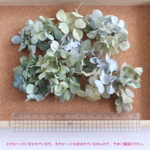 ドライフラワー 紫陽花 小さなヘッド 約2g【...の詳細画像3