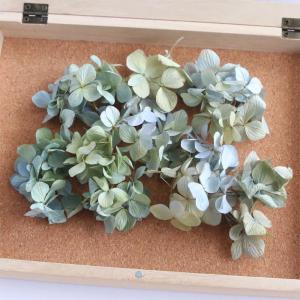 ドライフラワー 紫陽花 小さなヘッド 約2g【...の詳細画像4