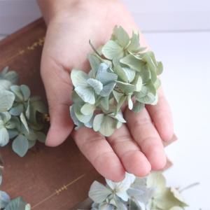 ドライフラワー 紫陽花 小さなヘッド 約2g【...の詳細画像5