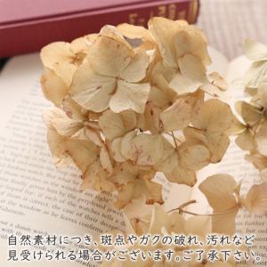 ドライフラワー 紫陽花 ヘッド アンティーク ...の詳細画像2