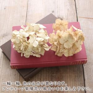 ドライフラワー 紫陽花 ヘッド アンティーク ...の詳細画像3