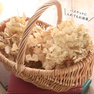 ドライフラワー 紫陽花 ヘッド アンティーク ...の詳細画像4