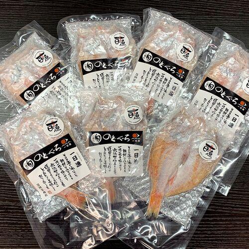 干物 島根 岡富商店 一日漁 のどぐろ一夜干し 7尾 冷凍 無添加 薄塩 個別真空 白身のトロ 鮮魚...