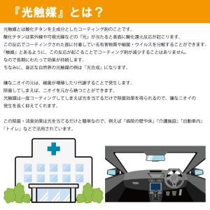 【わけあり】 光触媒スプレー Acute Cl...の詳細画像5