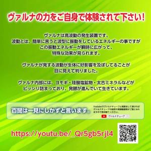 ヴァルナチューブ足首用 着脱用ジョイント付き ...の詳細画像3