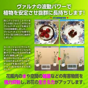 ヴァルナチューブ 首用 ネックレス型 つよしく...の詳細画像2