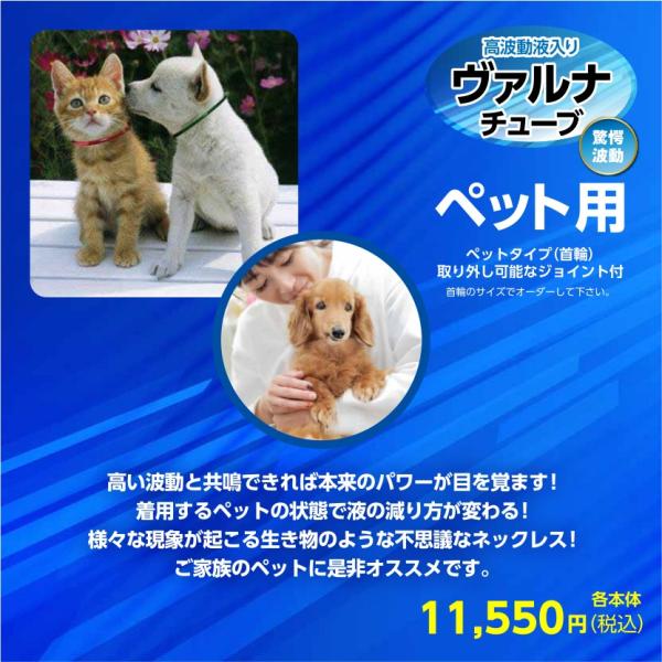 ヴァルナチューブ ペット用首輪 着脱用ジョイント付き つよしくん バルナ