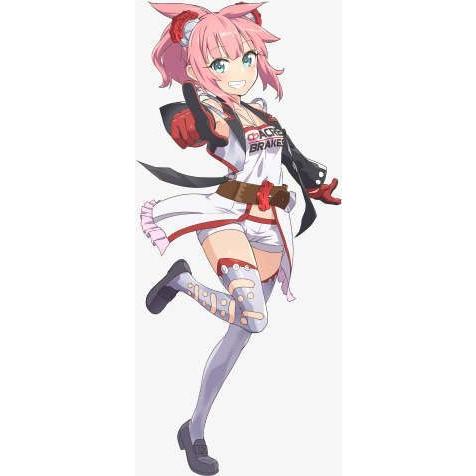 EINA ステッカー TYPE-CM Ready Go!