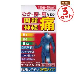 【第3類医薬品】ビタミン製剤 ナイスタイムEX(120錠) 3セット 眼精疲労 慢性的な目の疲れ 目のかすみ 目の奥の痛み 筋肉痛 関節痛 肩痛 腰痛 膝痛 肩こり 五十肩