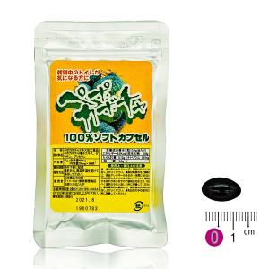 夜間や外出時の不安が気になる方に ペポカボチャ1...の商品画像