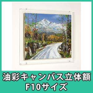 油彩画 油絵 F10 アクリルパネル ヤッコ型箱に梱包【送料込み