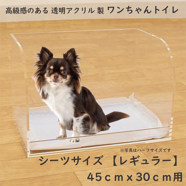 犬用 ペット用 トイレ トレー 透明 洗える しつけ トレーニング 人気 おすすめ レギュラーサイズ...