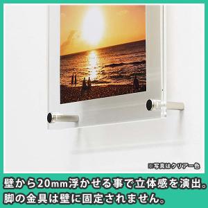 写真立て ハガキ フロート おしゃれ 壁掛け ...の詳細画像3