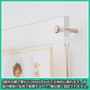 色紙額 標準・大色紙サイズ専用 UVカット 色...の詳細画像3