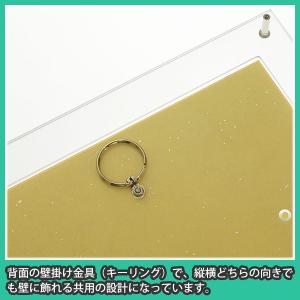 色紙額 標準・大色紙サイズ専用 UVカット 色...の詳細画像4