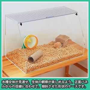 爬虫類 水槽 ケージ ケース おしゃれ 亀 カ...の詳細画像1