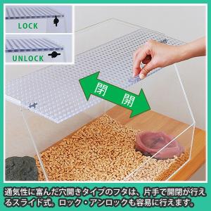 爬虫類 水槽 ケージ ケース おしゃれ 亀 カ...の詳細画像2