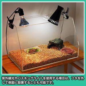 爬虫類 水槽 ケージ ケース おしゃれ 亀 カ...の詳細画像3