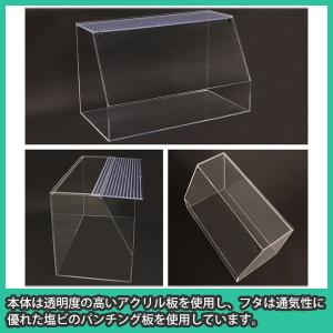 爬虫類 水槽 ケージ ケース おしゃれ 亀 カ...の詳細画像4