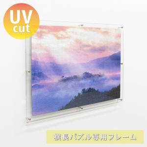 油彩キャンバス F6 額縁 壁掛け ケース ボックス 箱型 奥行 絵画 油絵