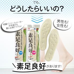 インソール 中敷き 消臭 蒸れ対策 薄い 足の...の詳細画像4