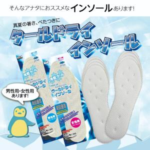 インソール 中敷き 接触冷感 蒸れ 防止 薄い...の詳細画像2