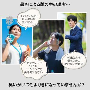 インソール 消臭 防臭 蒸れ 足ムレ対策 中敷...の詳細画像1