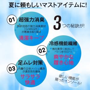 インソール 消臭 防臭 蒸れ 足ムレ対策 中敷...の詳細画像5