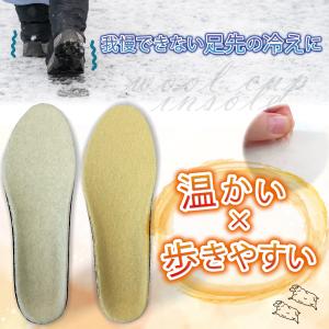 インソール 中敷き 暖かい 防寒 蒸れ 足ムレ...の詳細画像2