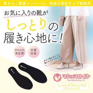 インソール 中敷き 抗菌 防臭 衝撃吸収 薄型...の詳細画像1