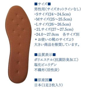 インソール 中敷き 消臭 蒸れ 足ムレ 臭い対...の詳細画像3
