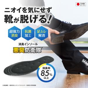 インソール 消臭 悪臭 臭い 蒸れ 足ムレ 対...の詳細画像1