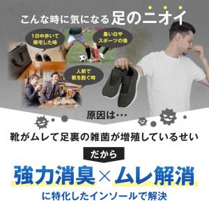 インソール 消臭 悪臭 臭い 蒸れ 足ムレ 対...の詳細画像3