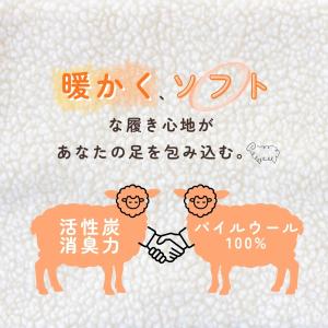 インソール 中敷き 暖かい 靴 防寒 消臭 足...の詳細画像1