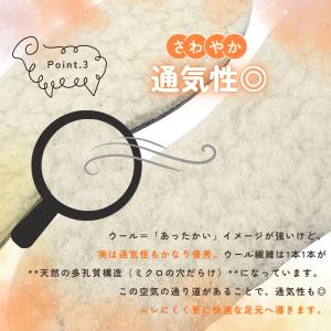 インソール 中敷き 暖かい 靴 防寒 消臭 足...の詳細画像4