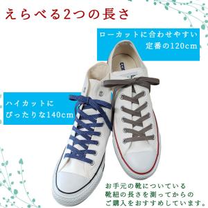 靴紐 靴ひも シューレース アクティカ 結び方...の詳細画像3
