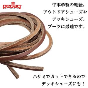 靴紐 靴ひも シューレース pedag ペダッ...の詳細画像1