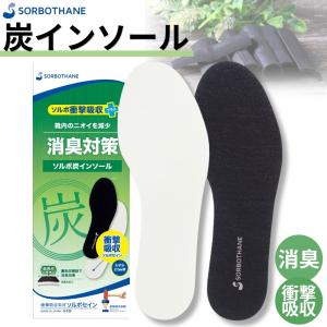 発熱ヒートボア (234) 木原産業 ACTIKA アクティカ 発熱 インソール 中