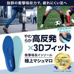インソール 中敷き 防臭 衝撃吸収 偏平足 土...の詳細画像3