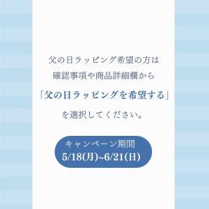 インソール 中敷き 防臭 衝撃吸収 偏平足 土...の詳細画像2