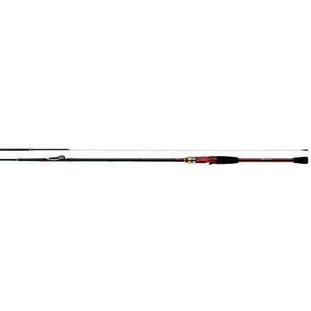 ダイワ(DAIWA) 船ロッド アナリスター 瀬戸内インターライン 25-300 釣り竿　並行輸入