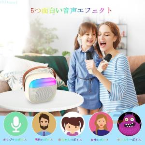 マイク2本 カラオケセット カラオケマイク ワ...の詳細画像2