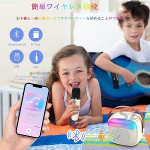 マイク2本 カラオケセット カラオケマイク ワ...の詳細画像3