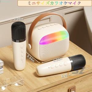 マイク2本 カラオケセット カラオケマイク ワ...の詳細画像5