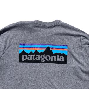 PATAGONIA パタゴニア ロングスリーブ...の詳細画像3