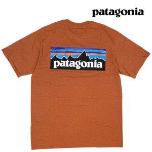 PATAGONIA パタゴニア P-6 ロゴ レスポンシビリティー メンズ Tシャツ P-6 LOGO RESPONSIBILI-TEE QZCO QUARTZ CORAL 38504｜active-board